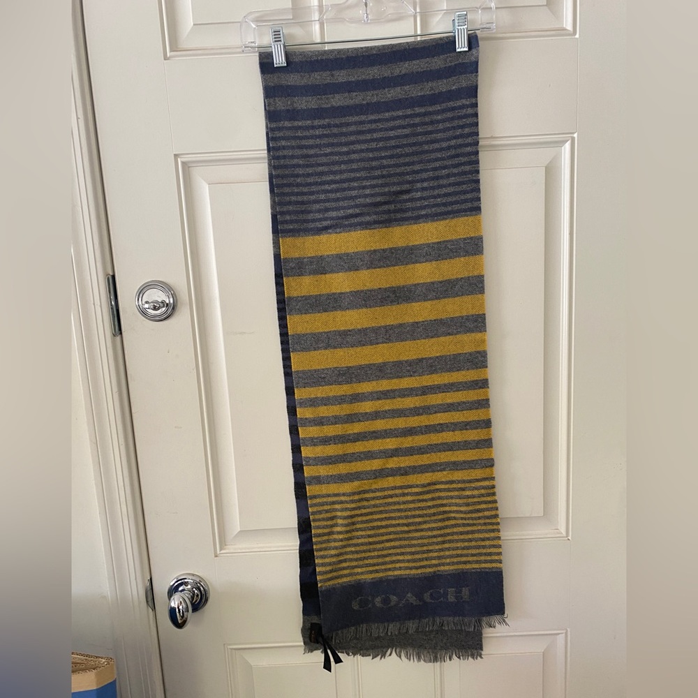 Coach striped scarf